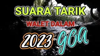 Suara Tarik || Tarik Walet Liar