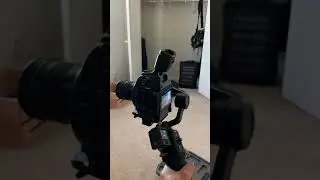 C100 Mark II Balanced with Ronin SC
