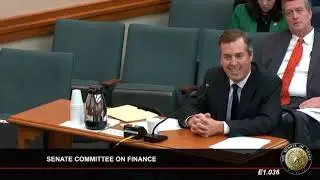 Chief Justice Jimmy Blacklock Talks Court Funding With Senate Finance Committee
