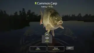 Drill crap 4.666kg russian fishing 4 romania