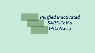 KANDIDAT VAKSIN COVID-19; Purified Inactivated Vaccine COVID-19