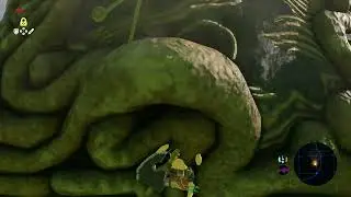 Ja Baij Shrine Clipping for Beginners in Zelda BOTW