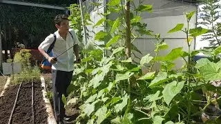 Hechos del Agro - Escuela sustentable