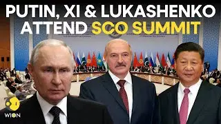 SCO Summit 2023 LIVE: Putin attends virtual SCO Summit | Putin's first Summit since Wagner Mutiny