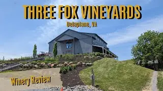 Three Fox Vineyards and Brewery *- VA Winery review 2023- NV Region