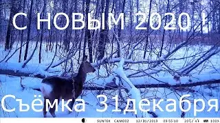 Как должна снимать классная фотоловушка