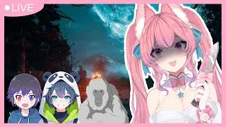 COLLABERS【+16🌸BR/Live Simult&acirc;nea】