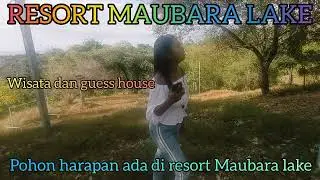 Wisata&penginapan//Maubara lake//TimorLeste
