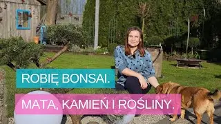 Nowa rabatka! Kamień i mata na rabatach – jak wygląda po kilku latach? Robię bonsai.