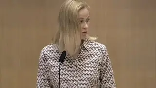 Sverigedemokraterna l&auml;mnar in misstroendef&ouml;rklaring mot Stefan L&ouml;fven.
