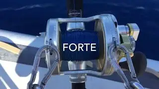 Tonno stimato 150/200 kg - Isola d'Elba - Giugno 2017