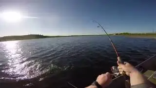 Rainbow trout catch Dune lake Alaska