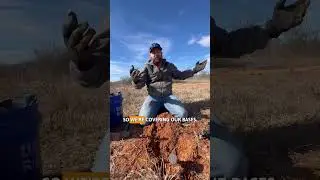 Влияет ли направление ветра на место установки ловушки? #ловляловлов
