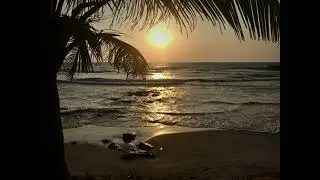𝐃𝐨𝐧 𝐎𝐦𝐚𝐫 - 𝐃𝐚𝐧𝐳𝐚 𝐊𝐮𝐝𝐮𝐫𝐨 (𝐒𝐋𝐎𝐖𝐄𝐃 - 𝐑𝐄𝐖𝐄𝐑𝐁)