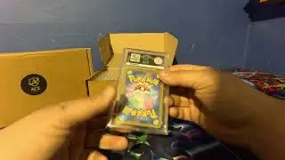 ACE Graded Submission Return of 50 Cards