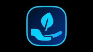 Mint Stake Share - Earn 2% Daily with MSS 2024