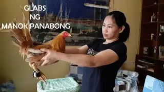 HOW TO MAKE DIY CHICKEN BOXING GLOVES | MANOK PANABONG