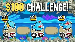WIN WITH A 3 SQUAD AND WIN $100! - Super Auto Pets