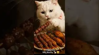 Fluffy Cat vs BBQ Skewers, ASMRimo #ASMRimo #CatEatsBBQ #FunnyCat #FoodieFurball #Shortsviral