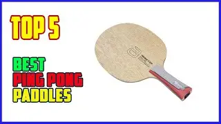 TOP 5 Best Ping Pong Paddles 2025 | $10 vs $100 Ping Pong Paddle &ndash; BIG Difference?