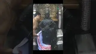 आजची श्री विठ्ठल नित्य महापूजा | 21 जानेवारी 2026 Pandharpur Shree Vithal Darshan #pandharpurlive 
