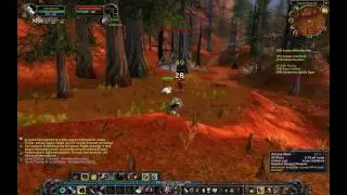 FRAPS HD WoW Test