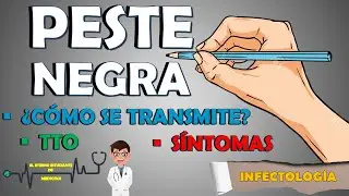 PESTE NEGRA S&Iacute;NTOMAS &iquest;C&oacute;mo se contagia? TRATAMIENTO | PESTE BUB&Oacute;NICA, SEPTIC&Eacute;MICA Y NEUM&Oacute;NICA 👨🏻&zwj;⚕️