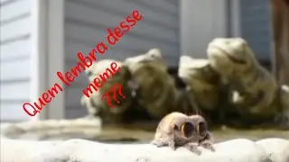 Quem lembra desse meme do Lucas a aranha?#memes
