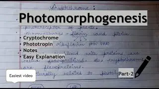 Cryptochrome/Phototropin/Photomorphogenesis/Types/Functions