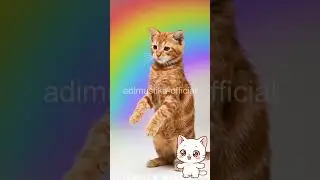Kucing Metal 🤘 vs Kucing Dugem 🕺 | Siapa Paling Gokil? | Dance Chalengge