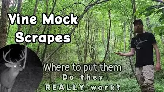 Creating And Establishing EFFECTIVE Mock Scrapes