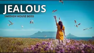 SWEDISH HOUSE BOSS  - JEALOUS