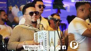 El Chamakito Acordeon - Recuerdo De Ada