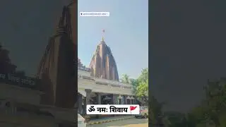 Shiv Mandir Vashi #2022 #shiv#temple #shivmandir #mumbai #vashi