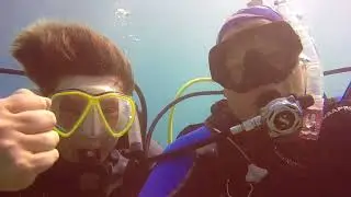 #turtlebay #iamssi #divingde #flamenco #redsea #egypt #lovediving #scubagirls