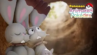 Bunnelby #0659 | Animated Pok&eacute;dex Series
