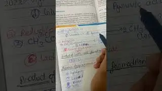 Anaerobic respiration- lactic acid fermentation ( respiration in plant)part 6# study with me