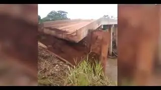 Bridge collapse | Realogy| #viral #shorts