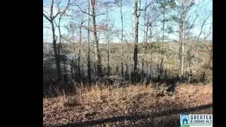 POINT VIEW WEDOWEE, AL 36278