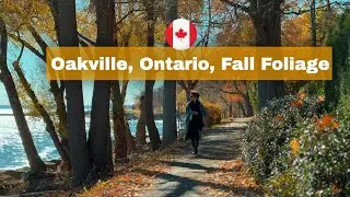 Fall foliage in Oakville, Ontario, Canada - MUST SEE!