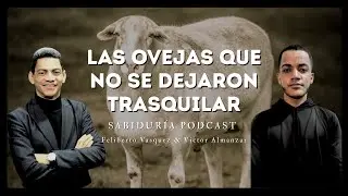 Las Ovejas que no se dejaron trasquilar | Sabidur&iacute;a podcast con Feliberto Vasquez y Victor Almanzar