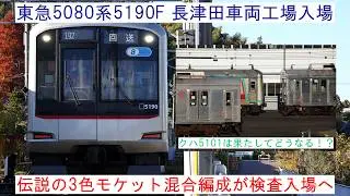 【伝説の3色モケット混合編成が検査へ！】 ～東急5080系5190F 長津田車両工場入場～