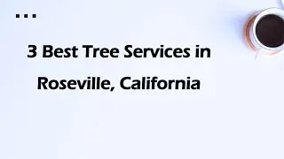 3 Best Tree Services in Roseville, California | Arborists