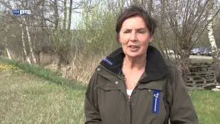 Onvrede over onderhoud houtwallen in Steenwijkerland