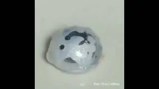 Pure sodium reacting with oxygen in the ambient air