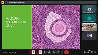 histo, aparatro reproductor femenino ( practica)