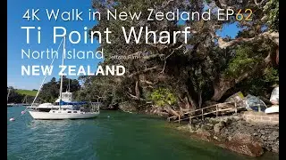 4K Walk in NZ EP62 Ti Point Wharf 沉浸式徒步新西兰第62集Ti Point码头