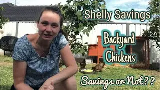 Backyard Chickens - Savings or Not??