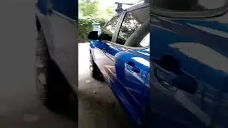 Ranger azul