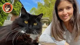 When The 'Ghostly' Wild Cat Hiding In The Lady's Garden Fell In Love With Me